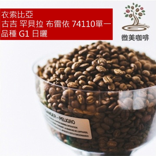 [微美咖啡]半磅325元,古吉 罕貝拉 布雷依 74110單一品種 G1 日曬(衣索比亞)淺焙咖啡豆,滿500元免運
