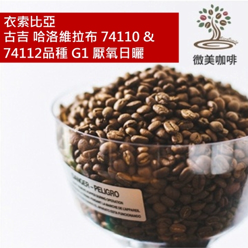 [微美咖啡]半磅350元,古吉 哈洛維拉布 74110 & 74112品種 G1 厭氧日曬(衣索比亞)淺焙咖啡豆