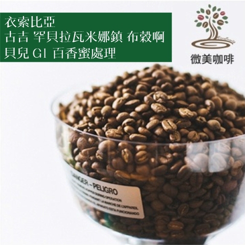[微美咖啡]1磅750元,古吉 罕貝拉瓦米娜鎮 布穀啊貝兒 G1 百香蜜處理(衣索比亞)淺焙咖啡豆,新鮮烘焙