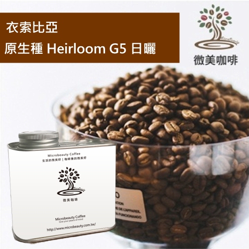 [微美咖啡]罐裝265元,原生種 Heirloom G5 日曬(衣索比亞)淺焙 咖啡豆,滿500元免運,新鮮烘焙