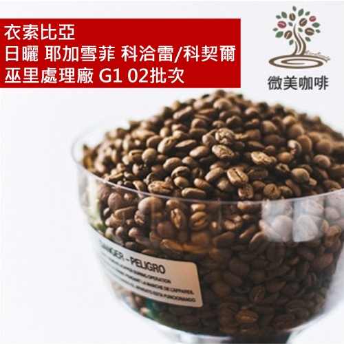 [微美咖啡]半磅325元,日曬 耶加雪菲 科洽雷/科契爾 巫里處理廠 G1 02批次(衣索比亞)淺焙咖啡豆