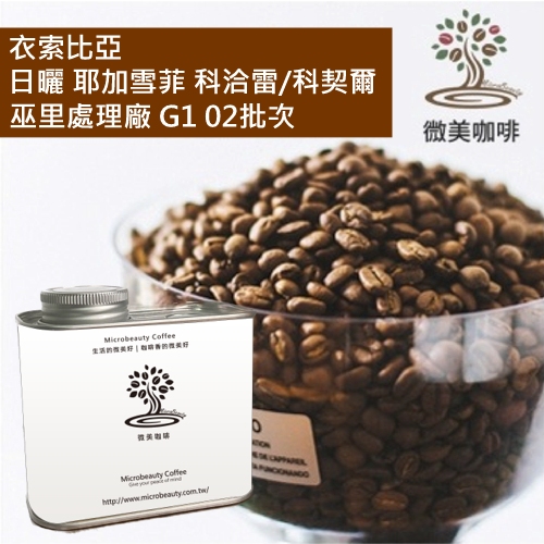[微美咖啡]罐裝415元,日曬 耶加雪菲 科洽雷/科契爾 巫里處理廠 G1 02批次(衣索比亞)淺焙咖啡豆