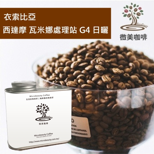 [微美咖啡]罐裝340元,西達摩 瓦米娜處理站 G4 日曬(衣索比亞)淺焙咖啡豆,500元免運,新鮮烘焙