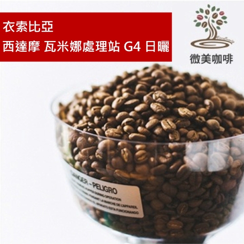 [微美咖啡]半磅250元,西達摩 瓦米娜處理站 G4 日曬(衣索比亞)淺焙咖啡豆,500元免運,新鮮烘焙