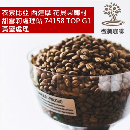 [微美咖啡]半磅400元起,衣索比亞 西達摩 花貝果娜村 甜雪莉處理站 74158 TOP G1 黃蜜處理 淺焙咖啡豆