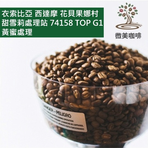 [微美咖啡]1磅750元,衣索比亞 西達摩 花貝果娜村 甜雪莉處理站 74158 TOP G1 黃蜜處理 淺焙咖啡豆