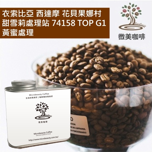 [微美咖啡]罐裝490元,衣索比亞 西達摩 花貝果娜村 甜雪莉處理站 74158 TOP G1 黃蜜處理 淺焙咖啡豆